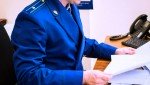 В Сосновском округе перед судом предстанет любительница сладкого